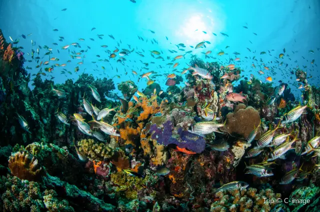 Diving in Lombok