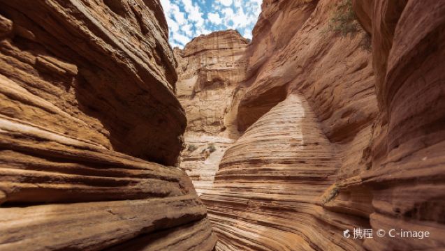 Lawatan sehari ke Lembah Gelombang Jingbian, Shaanxi [Berlepas dari Yan'an ‖ Tiada beli-belan ‖ Perkhidmatan ambil dari rumah]