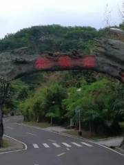 Baoting Evergreen Tea Valley