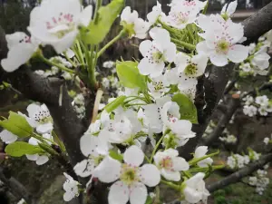 憶口香湘菜館