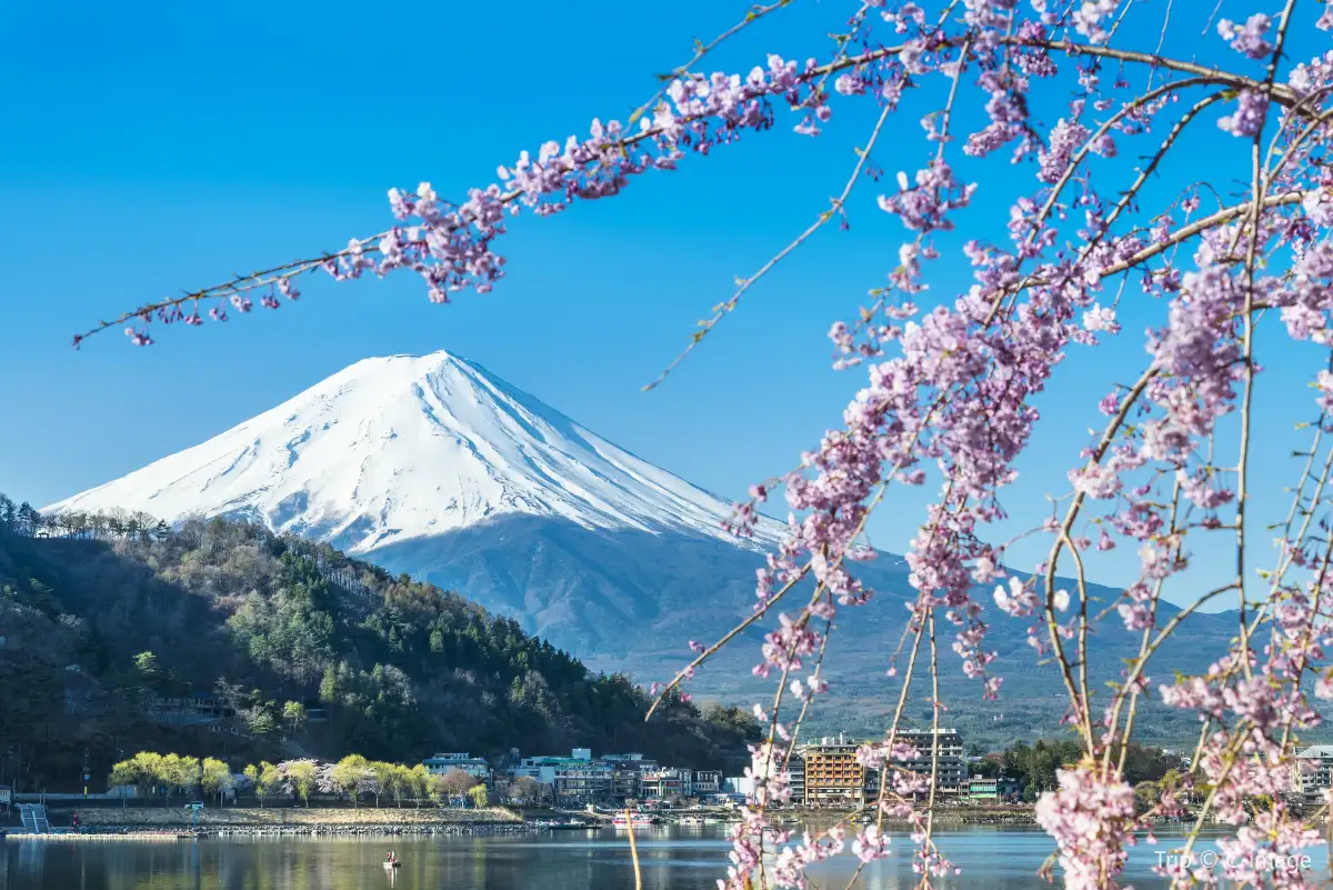 Mount Fuji