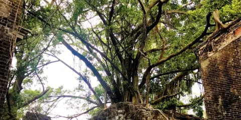 鄧邊