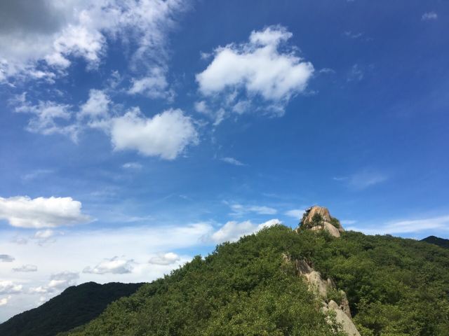 朱雀山森林公園