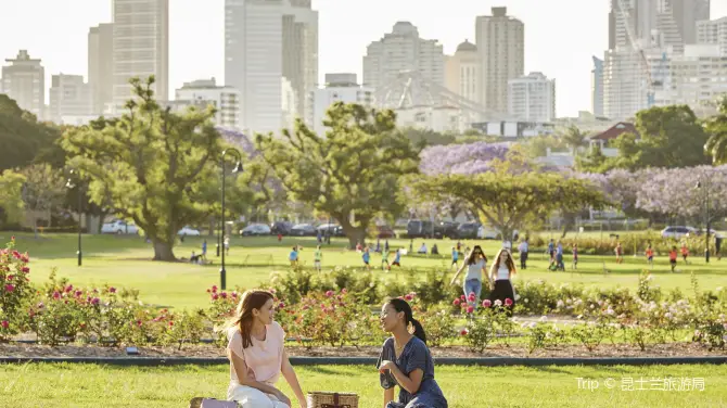 1_New Farm Park