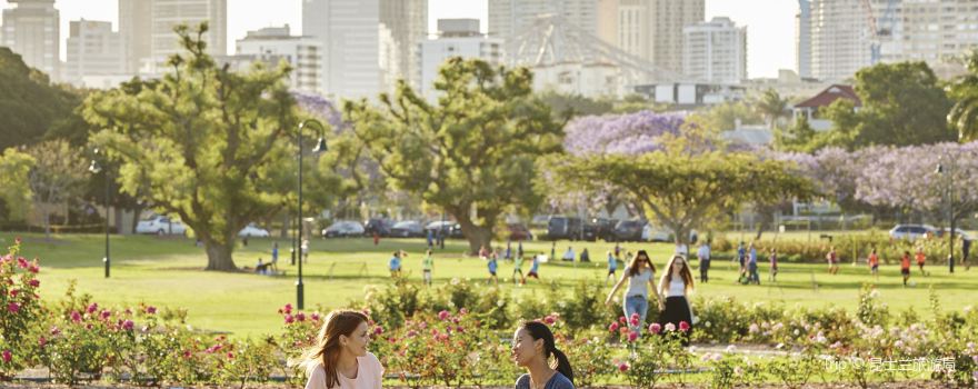 New Farm Park