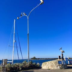 The Oyster Farm Shop 여행 사진