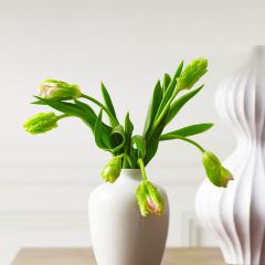 粥膳 ảnh của người dùng