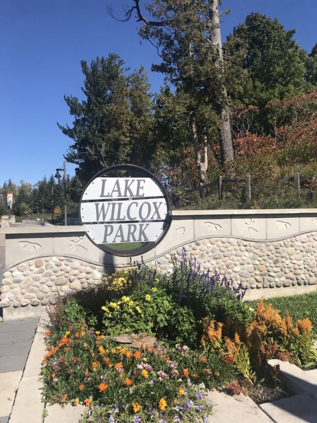 Wilcox Lake