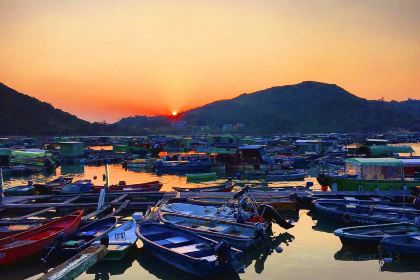 泰苑海鮮魚翅酒家