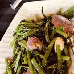 Thai Me bar and our restaurant張用戶圖片