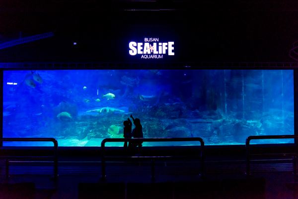 SEA LIFE Busan Aquarium