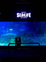 SEA LIFE Busan Aquarium