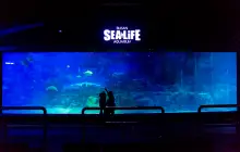 SEA LIFE 부산 아쿠아리움