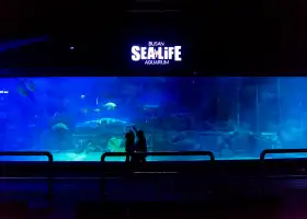 釜山SEA LIFE水族館