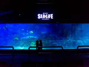 SEALIFE Busan Aquarium