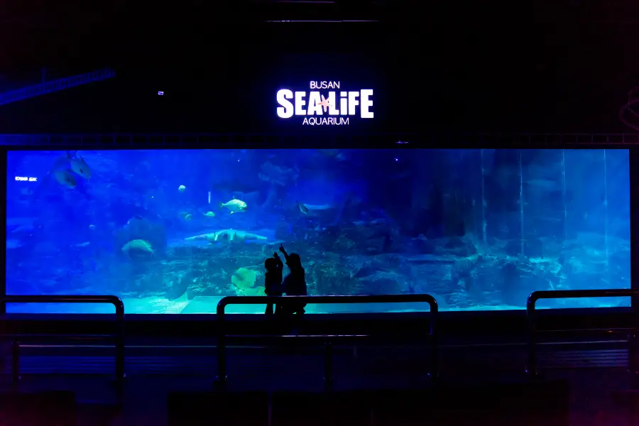 SEA LIFE 부산 아쿠아리움