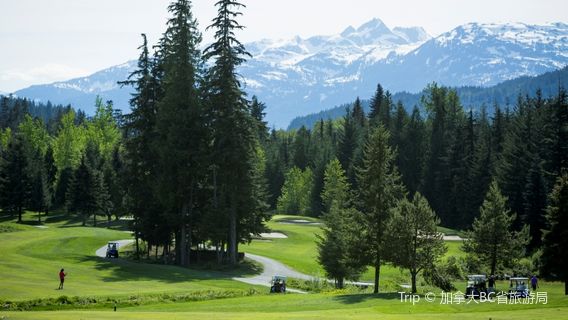 Whistler
