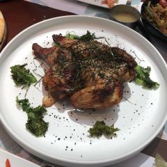 sweet bird User Photo
