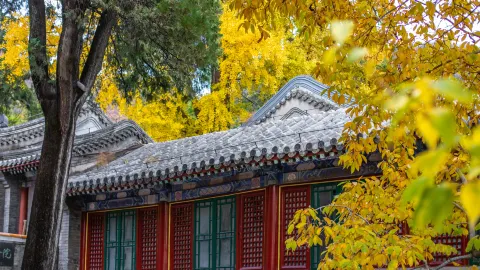 Tanzhe Temple attraction in Beijing
