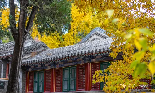 Tanzhe Temple