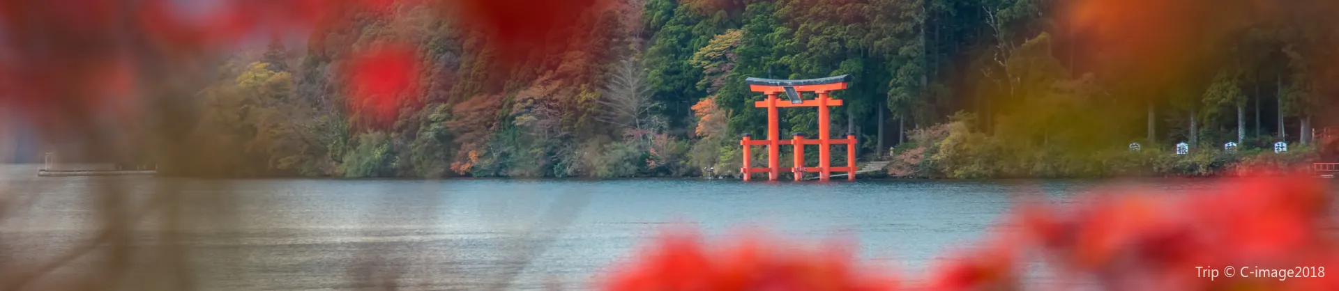 Fall Viewing Attractions