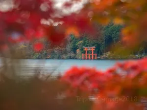 蘆之湖