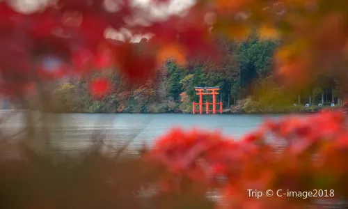 Lake Ashi