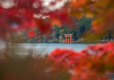 Lake Ashi