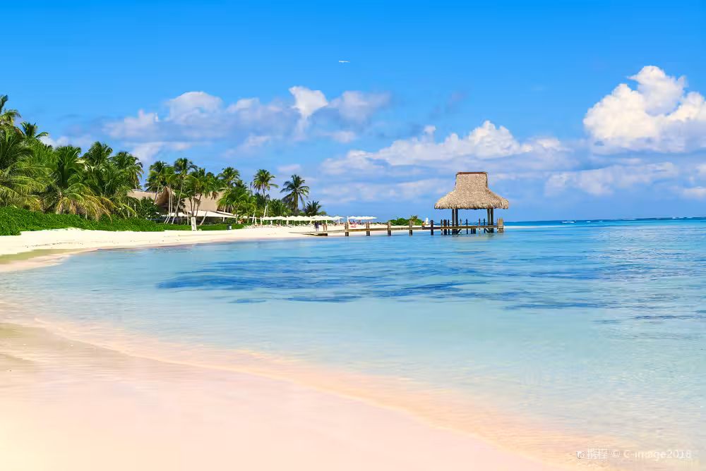 Vuelos ${{cityDName}} Punta Cana