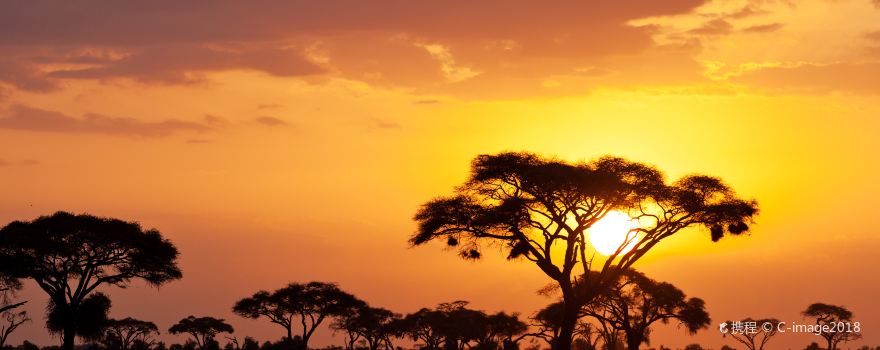 Maasai Mara National Reserve