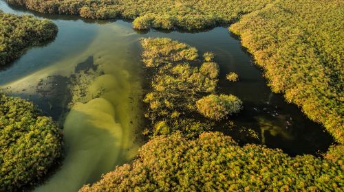 Okavango Delta