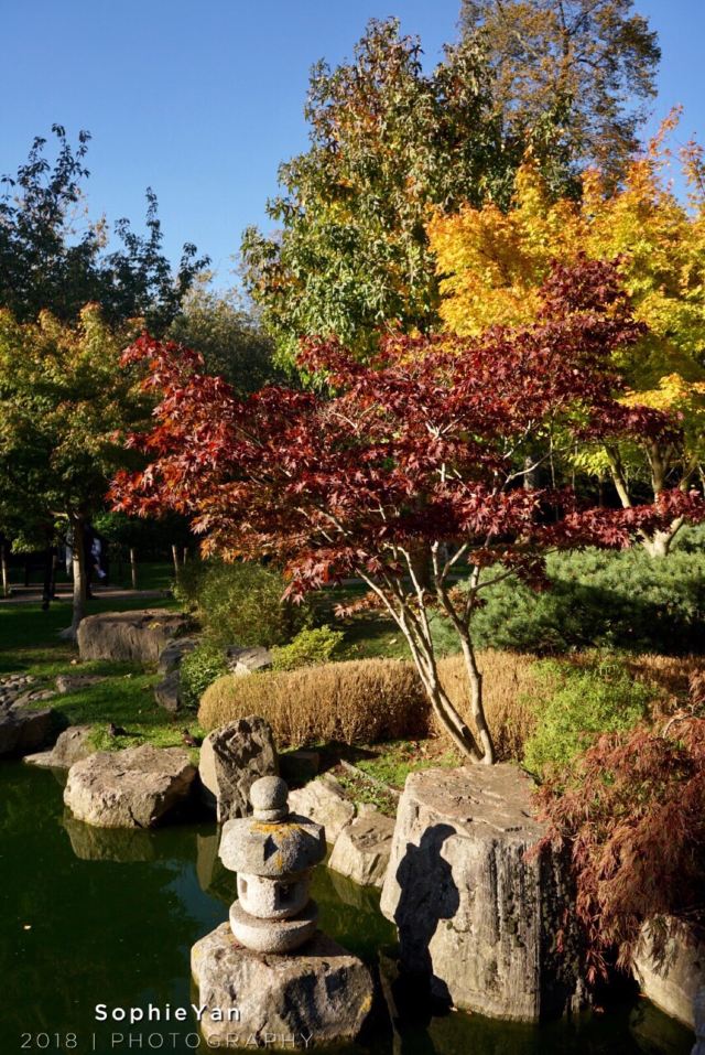 Kyoto Garden
