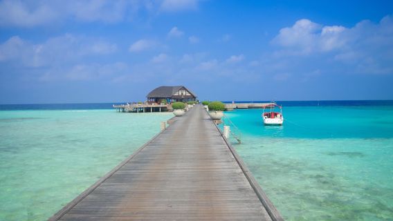 Maldive