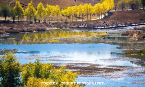 Songzanlin Scenic Spot