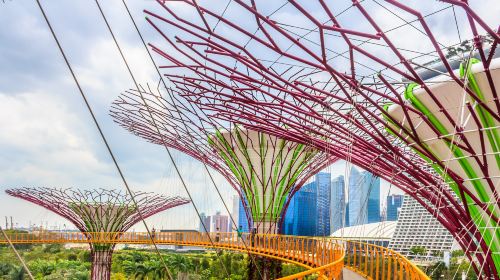 Gardens by the Bay