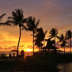 Sky Blu Bar張用戶圖片