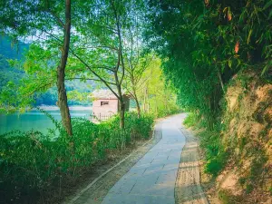 Fioriture Primaverili a Pujiang: le opzioni più popolari