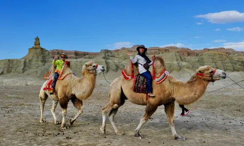 Camel Riding in Karamay