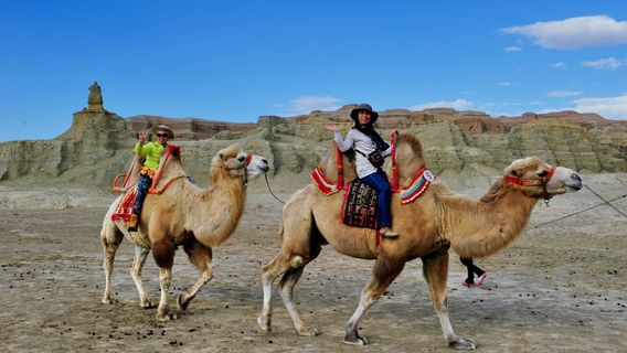 Camel Riding in Karamay