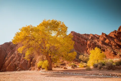 Tianshan Mysterious Grand Canyon