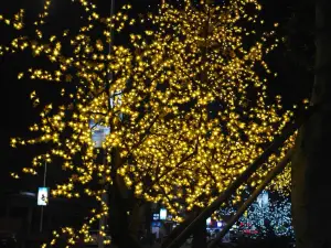 Popular Night Attractions in Nan'ao
