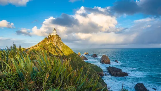 Nugget Point