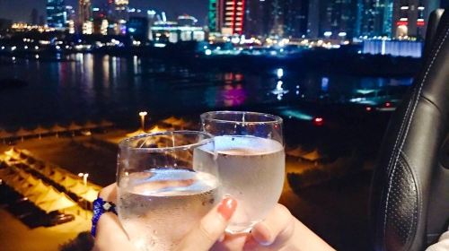 Dubai Cuisine Dinner in the Sky UAE Viral Dubai Aerial Crane Lunch & Dinner Dubai Restaurant 4