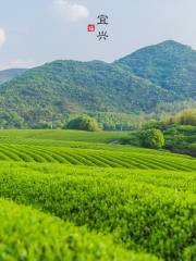 룽츠산(용지산) 자전거 공원