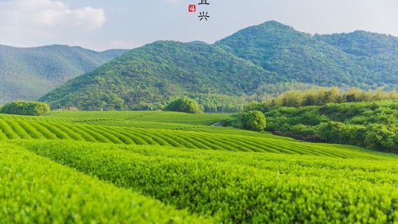 Longchishan Bicycle Park