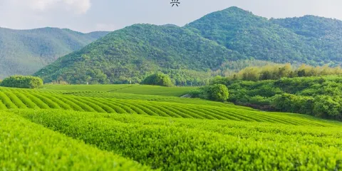 龍池山自行車公園
