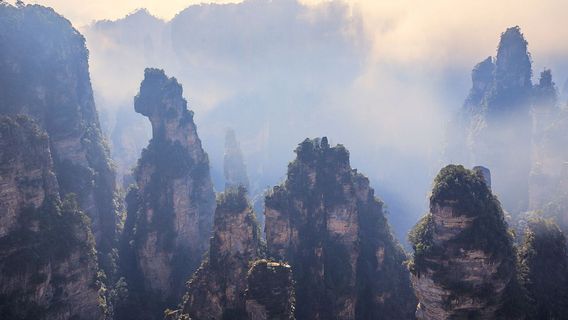 ZhangjiajieTours