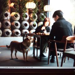 黄山魔宿·厢居集装箱野奢民宿·餐饮 User Photo