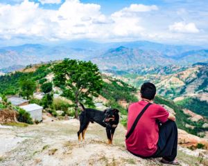 香港-納加闊特 機票酒店 自由行