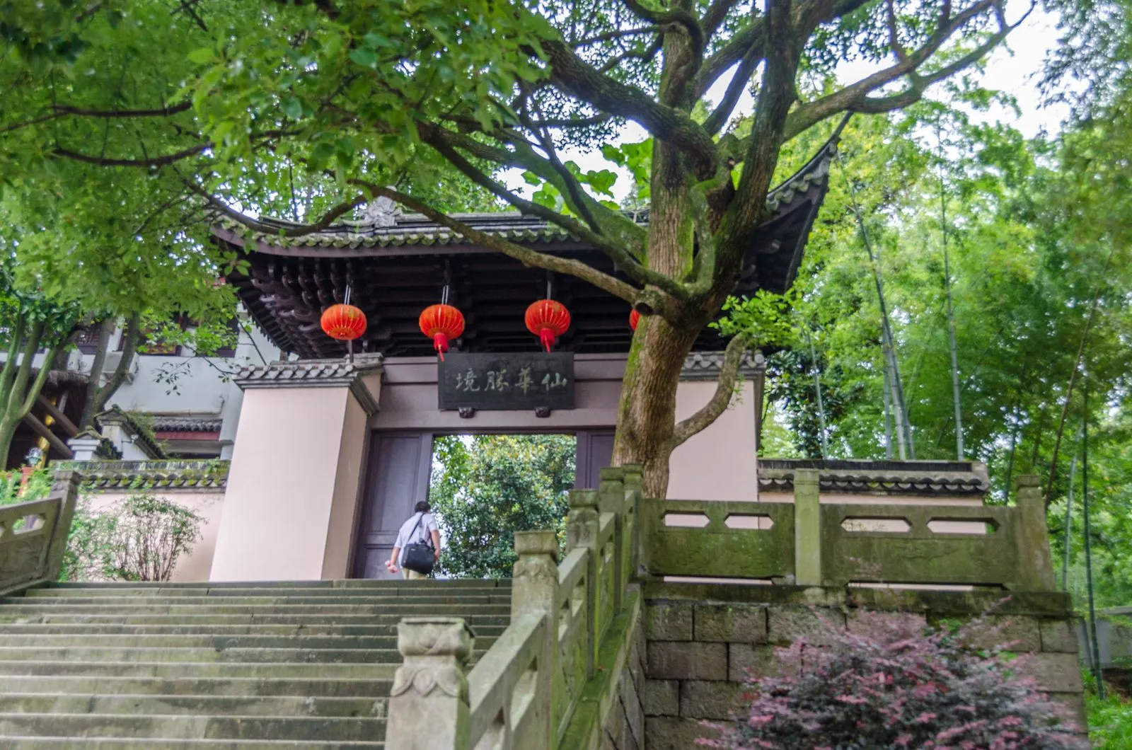 汽車可以一直開到山上,景區門口有停車場,這裡景色秀美,山上森林覆蓋率達到88%。
景區入口處是大片的竹子,滿眼綠色,儼然是一個世外桃源。山下的昭靈宮歷史悠久,是一處道教聖地,不過原先的殿堂早已損毀,現存的昭靈宮重建於1993年。
昭靈宮之前是道教的陰陽魚圖案,山間雲霧飄渺,山下跟山上氣候迥異。等我們爬到山頂的時候,雲霧茫茫幾乎什麼都看不清。昭靈宮前的廣場上,有各種雕刻的石獸。你能找到你的屬相嗎?
仙華山上山的道路分為東線和西線,山下的大片竹林宛如仙境。
昭靈宮內供奉的是黃帝的女兒元修,據說她在仙華山的少女峰修道成仙。
一路上山都有整齊的台階,兩側林木濃密,這裡適合週末健身。
到了山上又分為兩條路,你可以選擇走棧道或者走天門,都能到達山頂的平台,我們決定上山走棧道,下山走天門。
路上竟然偶遇了一隻小松鼠,正在吃遊客吃剩下的冰棍,真是萌極了,我們誰都不忍心打擾小松鼠,在旁邊等了許久。不過小松鼠很警惕,我們稍一靠近它就跑開了。